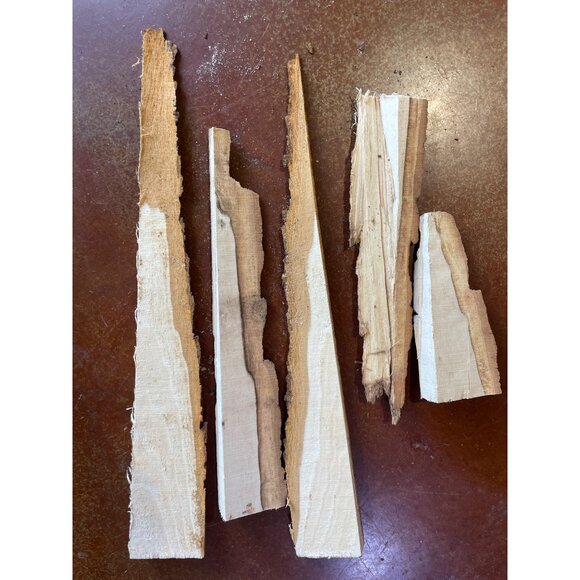 Basswood Rustic Bark Edge Wood Slabs For Crafts & DIY Projects - Picture 1 of 11
